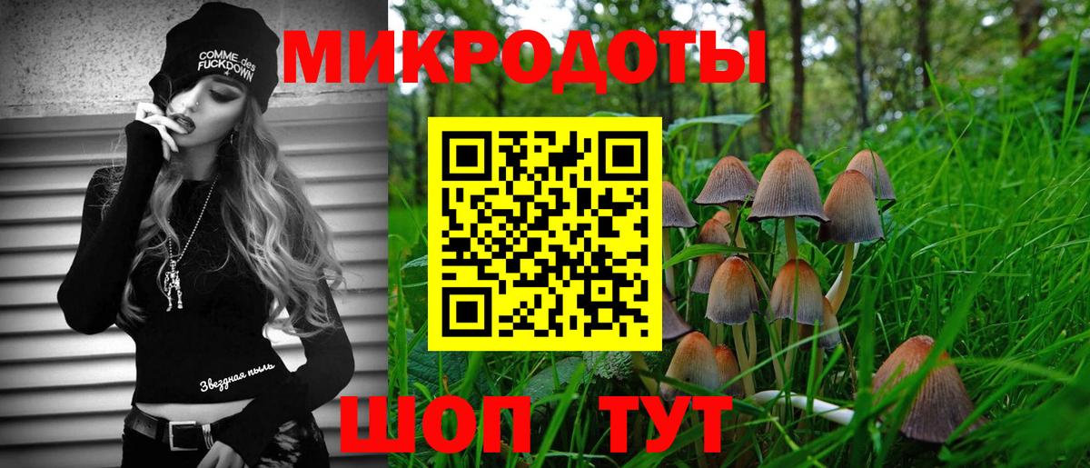 Псилоцибиновые грибы Psilocybine cubensis  Вход с VPN  Богородицк 